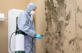 Mold Removal for HVAC Installations in Grafton, WV